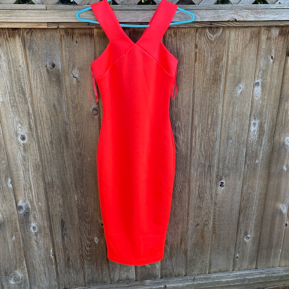 Brand New with Tags Ted Baker Dress